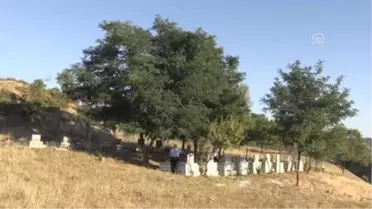 PKK'nın Yoncalıbayır'daki Katliamı Hafızalardan Silinmedi