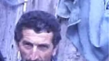 Üzerine Ağaç Devrilen Şahıs, Hayatını Kaybetti