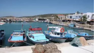 Çiftlik'te Festival Zamanı