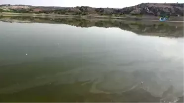 Denizli'de Baraj Göletinde Toplu Balık Ölümleri Gerçekleşti...ölü Balıklar Karaya Vurdu
