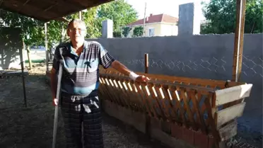 12 Koçunu Dolandırıcılara Kaptırdı