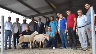 Genç Çiftçilere Küçükbaş Hayvanları Teslim Edildi
