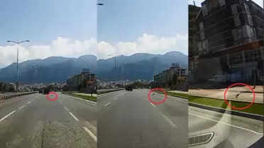 Motora Saklanan Kedi Kilometrelerce Dolaştı