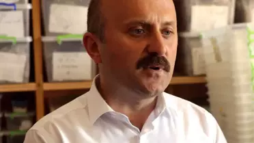 Oluz Höyük'te 2 Bin 500 Yıllık Pers Sarayı Bulundu