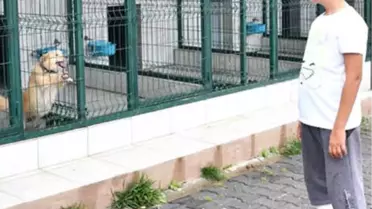 Ahmet Can'ı Isıran Köpek Bulunup, Karantinaya Alındı