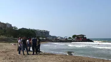 Tıp Fakültesi Öğrencisi Denizde Kayboldu