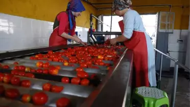 Salçaya Kadın Eli Değdi