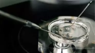 Cinsel Perhiz Süresi Tüp Bebek Başarısını Etkiliyor