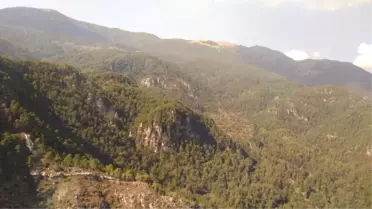 Hatay'da 2 Hektarlık Ormanlık Alan Yandı