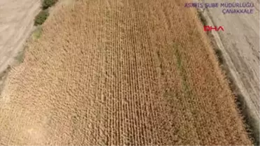 Çanakkale Cezaevi Firarisi, Tarlada Drone ile Yeri Belirlenip Yakalandı Hd