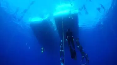 Serbest Dalış Türkiye Şampiyonası Kaş'ta Başladı