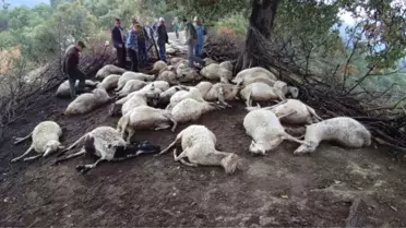 Yıldırım 39 Hayvanı Telef Etti