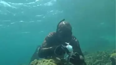 Dalgıçtan, Oltaya Yakalanan Balığa Hayat Öpücüğü