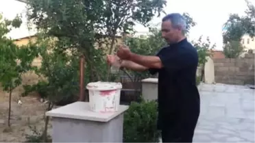 Dünya Şampiyonu Azeri Sporcu, Türk Milli Takımı'nı İstiyor