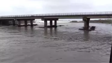 Kestane Karası Fırtınası'