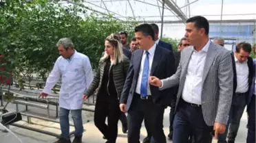 Bakan Pakdemirli, Buzağıyı Süt ile Besledi (2)