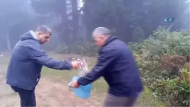 Doğa Koruma ve Milli Parklar Giresun Şube Müdürü Kuduban: 'Doğayı Böyle Seven Bu Bölgeye Gelmesin'