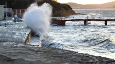 Kestane Karası' Rüzgarı Hayatı Olumsuz Yönde Etkiliyor