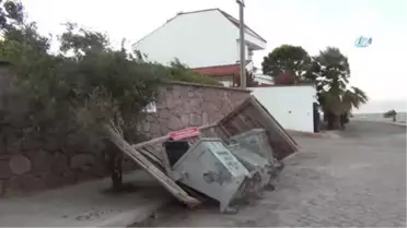 Kestane Karası' Rüzgarı Yıkıp,döktü