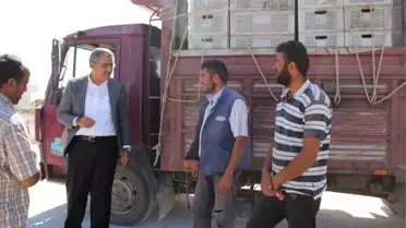 Torku, Çiftçiden Doğrudan Üzüm Alarak Üreticiyi Mutlu Etti