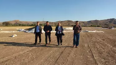 İl Tarım ve Orman Müdürü Yıldız, Ayçiçeği Hasadına Katıldı