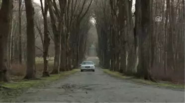 Sinema - 'Aile Oyunları'