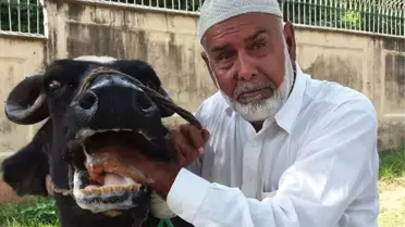 Pakistan Hükümeti Eski Başbakan Navaz Şerif'in Mandalarını Sattı