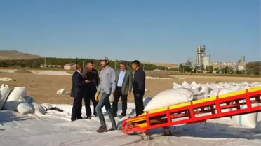 Tarım ve Orman İl Müdürü Yıldız Ayçiçeği Hasadına Katıldı