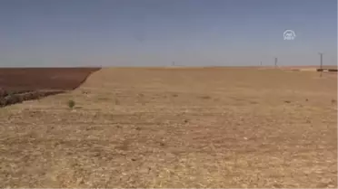 Gübrede İndirim ve Prim Desteği Güneydoğu Çiftçisine Can Suyu Oldu - Diyarbakır