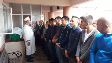 Meclis Üyesi Sarı'nın Babası Vefat Etti