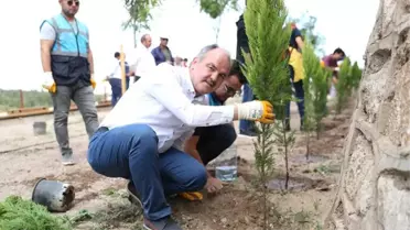 Pamukkaler Belediyesi'nin 'Vizyon Projesi' Yeşilleniyor
