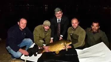 Bilecik'te 16 Kiloluk Dev Sazan Yakalandı