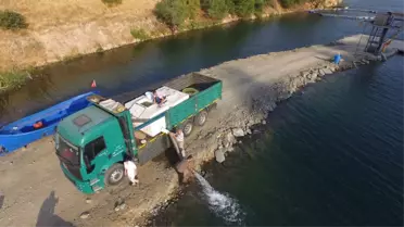 Barajlara 1 Milyon 520 Bin Yavru Balık Bırakıldı