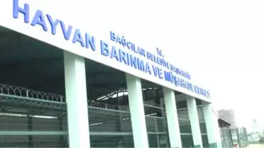 Genç Ensar'dan 'Hayvanları Koruma Günü' Mesajı