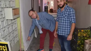Esnafın Selde Bulup Kurtarmaya Çalıştığı Kedi Öldü