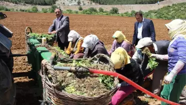 Baştuğ, 'Çiftçilerimize Zirai Alet Hibe Desteği Şart'