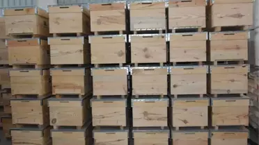 Yunusemre Belediyesinden Arıcılığa Destek