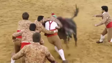 Kızgın Boğa, Matadorları Arenaya Çıktıklarına Pişman Etti