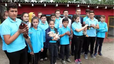 Çocuklara Hayvan Sevgisi Kazandırmak İçin Okula Hayvanat Bahçesi Kurdular