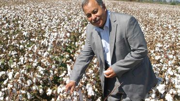 Söke Ziraat Odası'ndan 'Ürün Değişikliği' Uyarısı