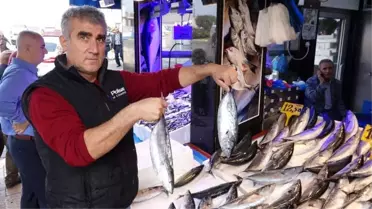 Trabzon'da Palamutta Sezonun En Verimsiz Günü Yaşanıyor