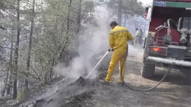 Amanoslardaki Orman Yangınını Soğutma Çalışması Sürüyor