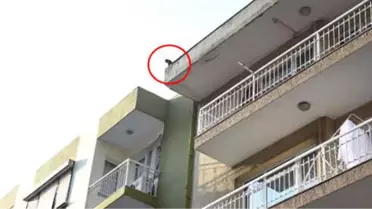 Apartmanın Çatısına Çıkan Kedi, 20 Gündür Kurtarılmayı Bekliyor