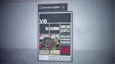 Vestel ve Regal'e 4 Kristal Elma