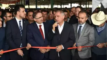 Güney Marmara'nın En Büyük Canlı Hayvan Pazarı Açıldı