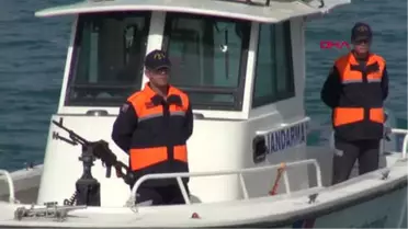 Van Gölü'nde Yeni Bir Balık Türü Keşfedildi