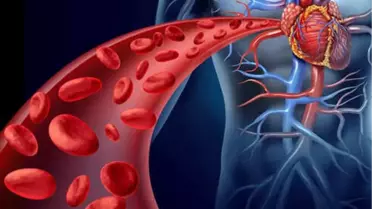Mehmet Ali Erbil'in Hastalığı Ölümcül Mü?