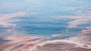 Doğa, Tekstil Atıklarından 'Doğa' ile Korunuyor