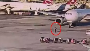 Atatürk Havalimanında Faciayı, TGS Personeli Önledi