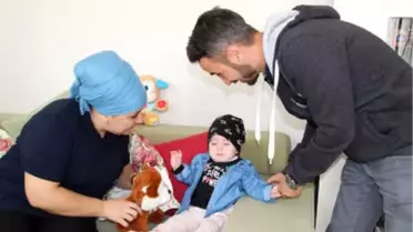 3 Ton Pirinci Küçük Eylül'ün Ameliyatı İçin Sattılar
